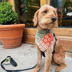 Colorful Patchwork Dog Bandana Handmade